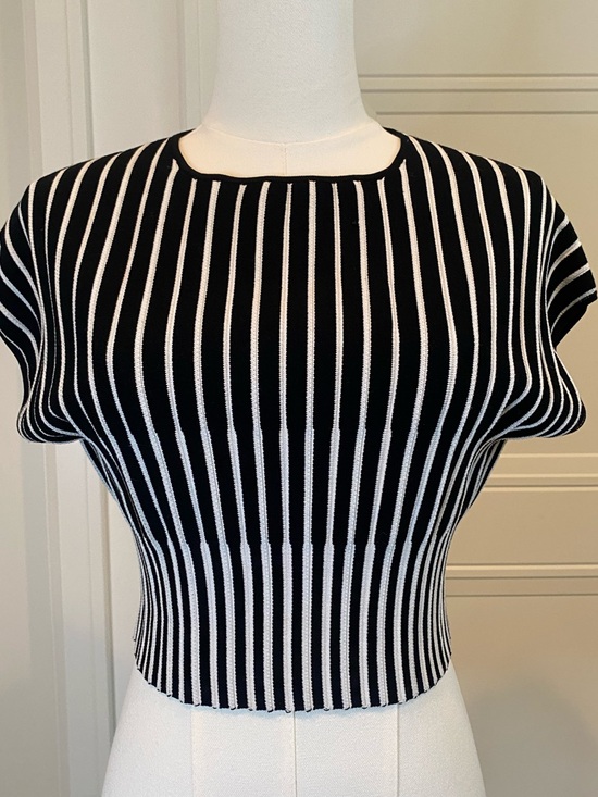 House of Harlow 1960 Tops - House of Harlow 1960 Black & White Stripe Crop Top Size Small Stretch